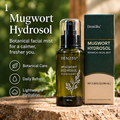 DemiBu Mugwort Hydrosol 100 mL bottle and carton in a botanical promotional scene