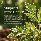 Botanical mugwort-inspired leaf scene with promotional text
