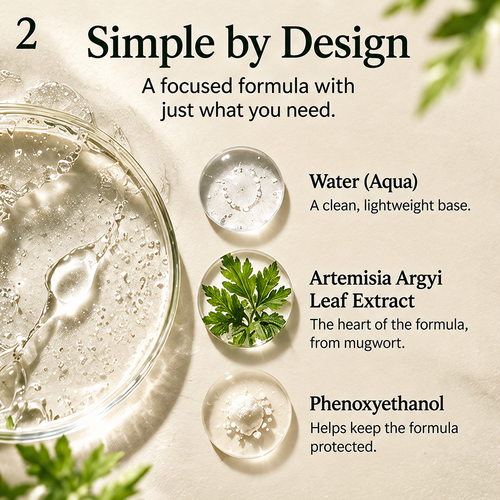 Graphic showing the three carton-listed ingredients of DemiBu Mugwort Hydrosol