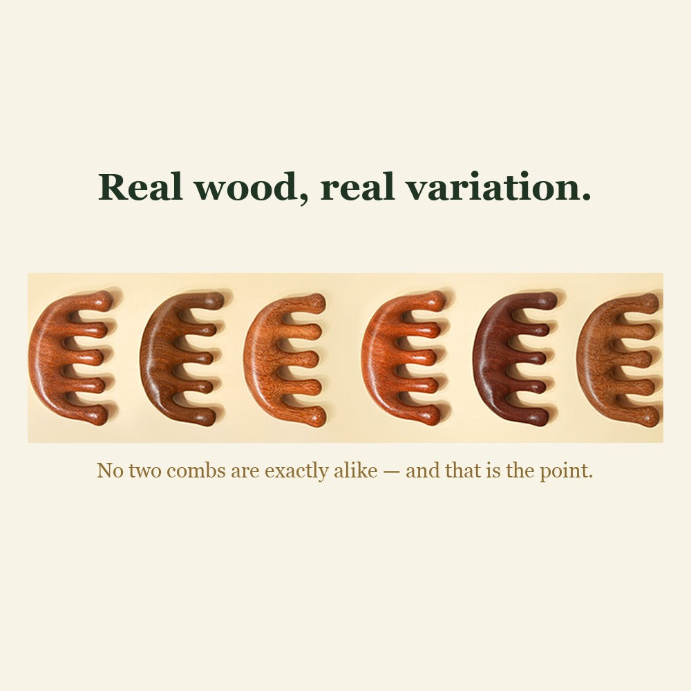 Six wooden scalp combs showing natural grain and color variation